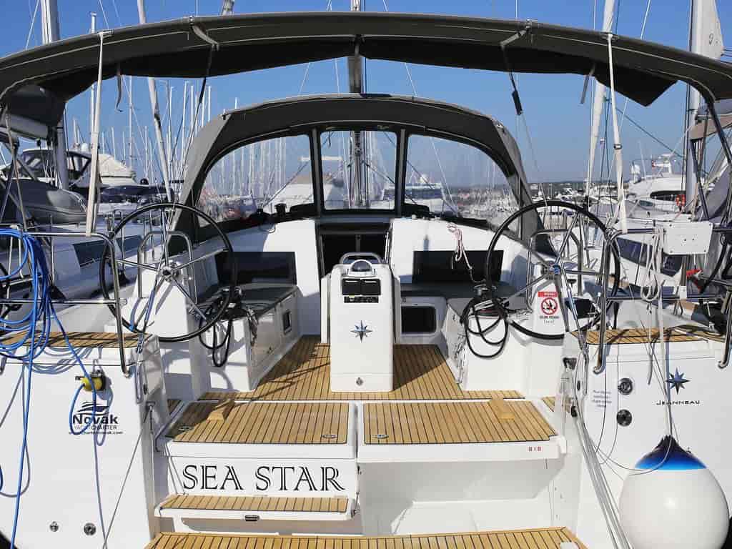 Photo 3 of Sea Star
