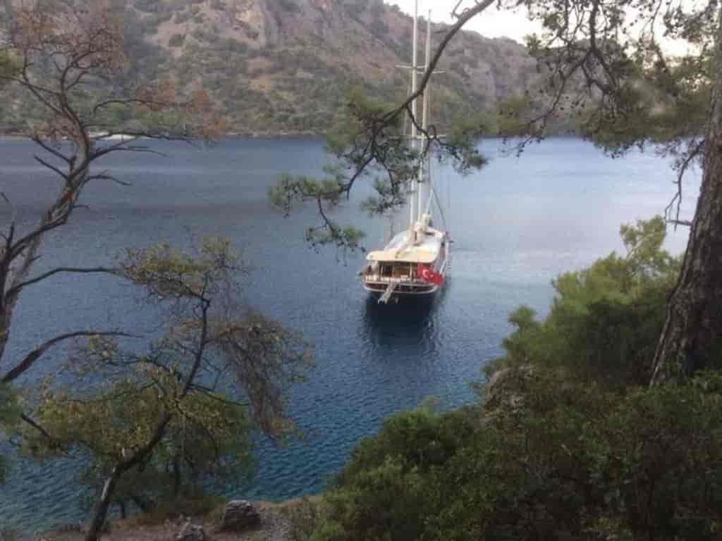 Boat picture 5