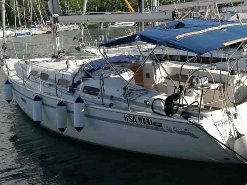 Photo of Springrose, image 1 of 5