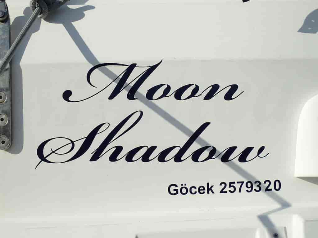 Photo 4 of Moon Shadow