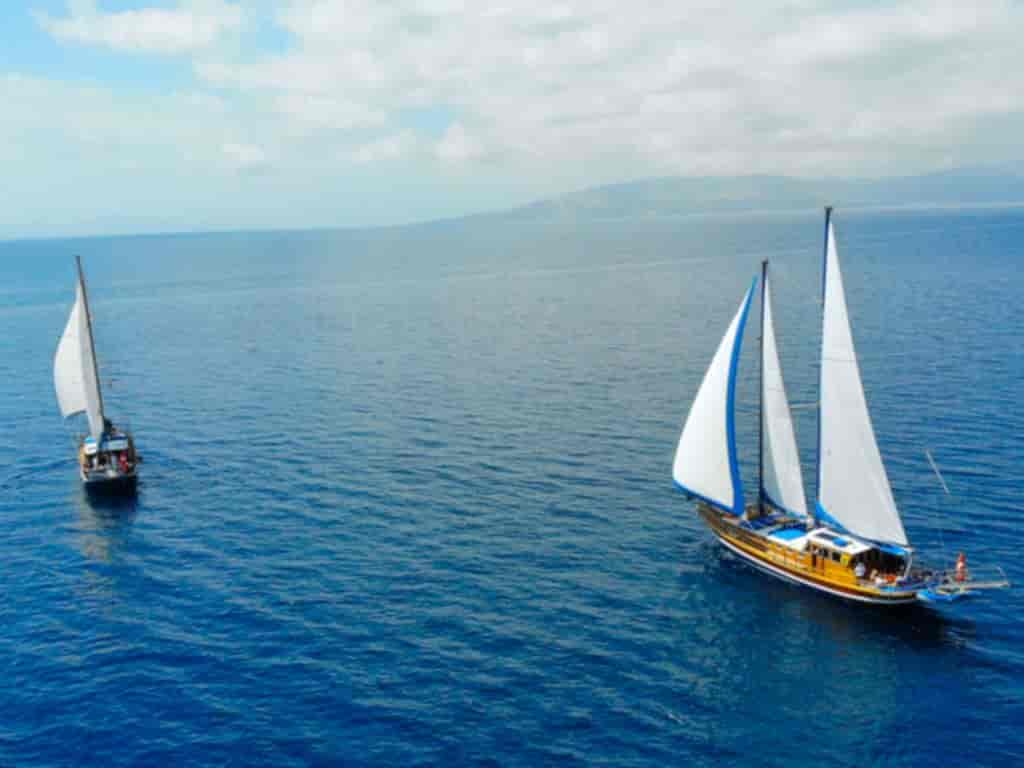 Boat picture 4