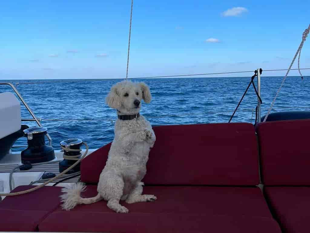 Boat picture 22