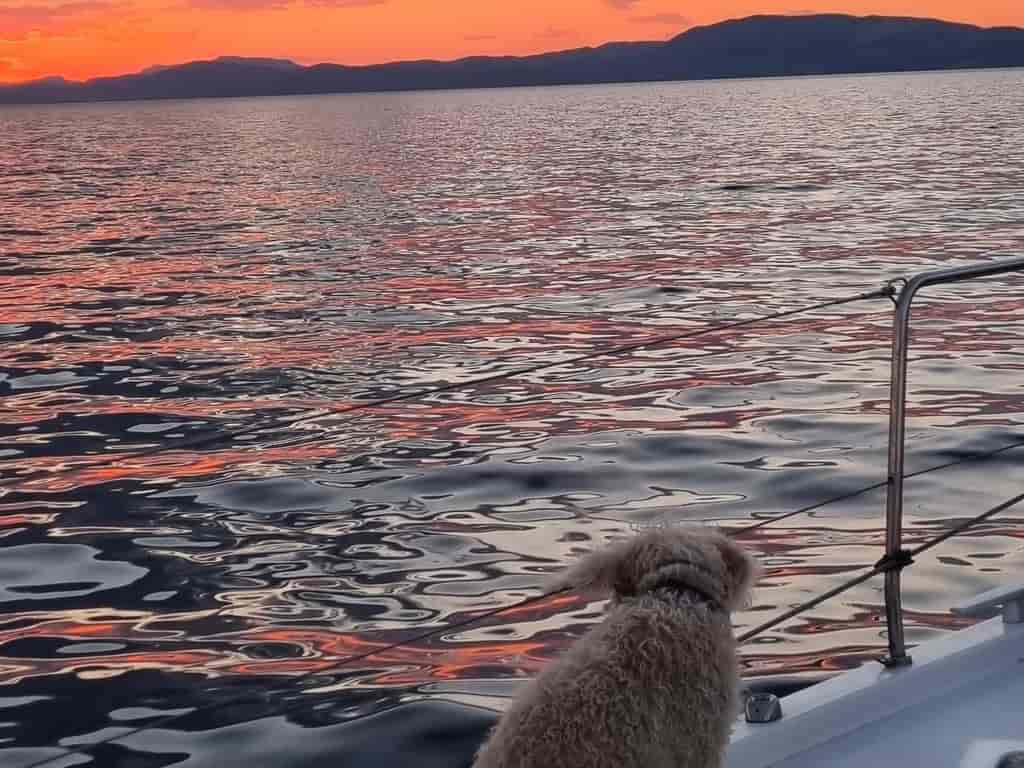 Boat picture 5