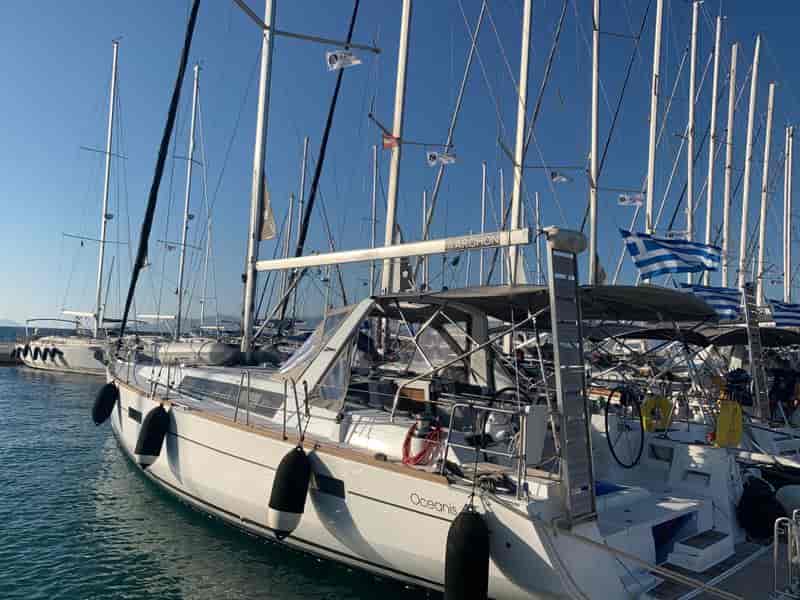 Photo of Stella, image 1 of 5