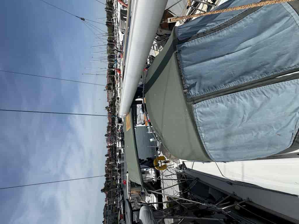 Boat picture 2