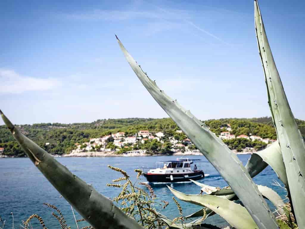 Boat picture 13