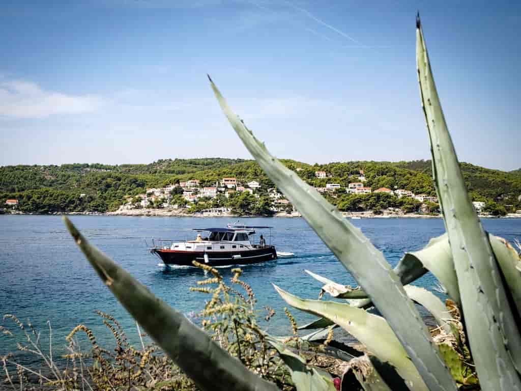 Boat picture 30