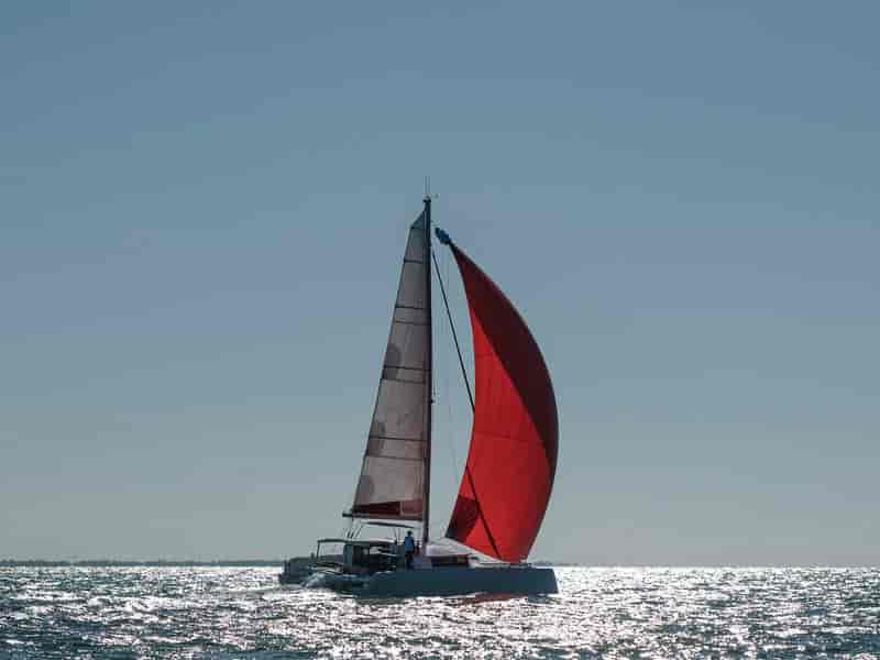 Photo of undefined, image 1 of 22