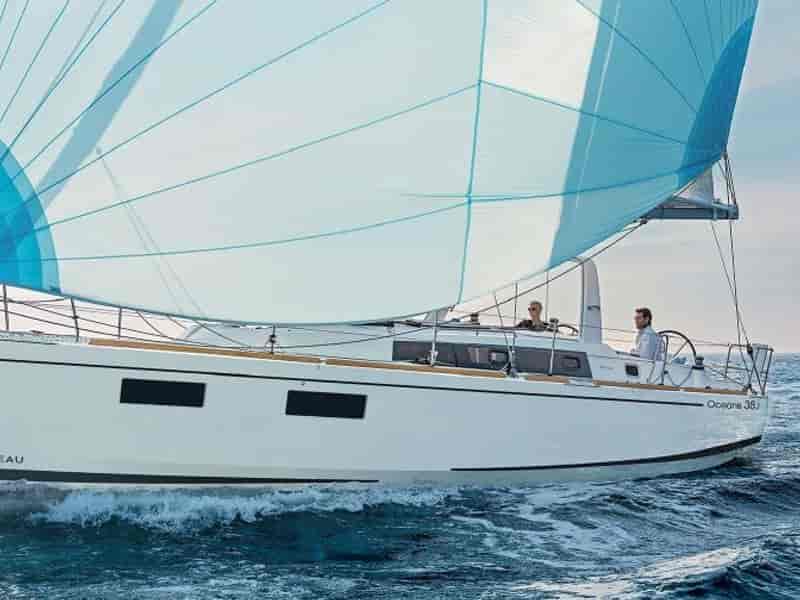 Photo of Jasmine, image 1 of 5