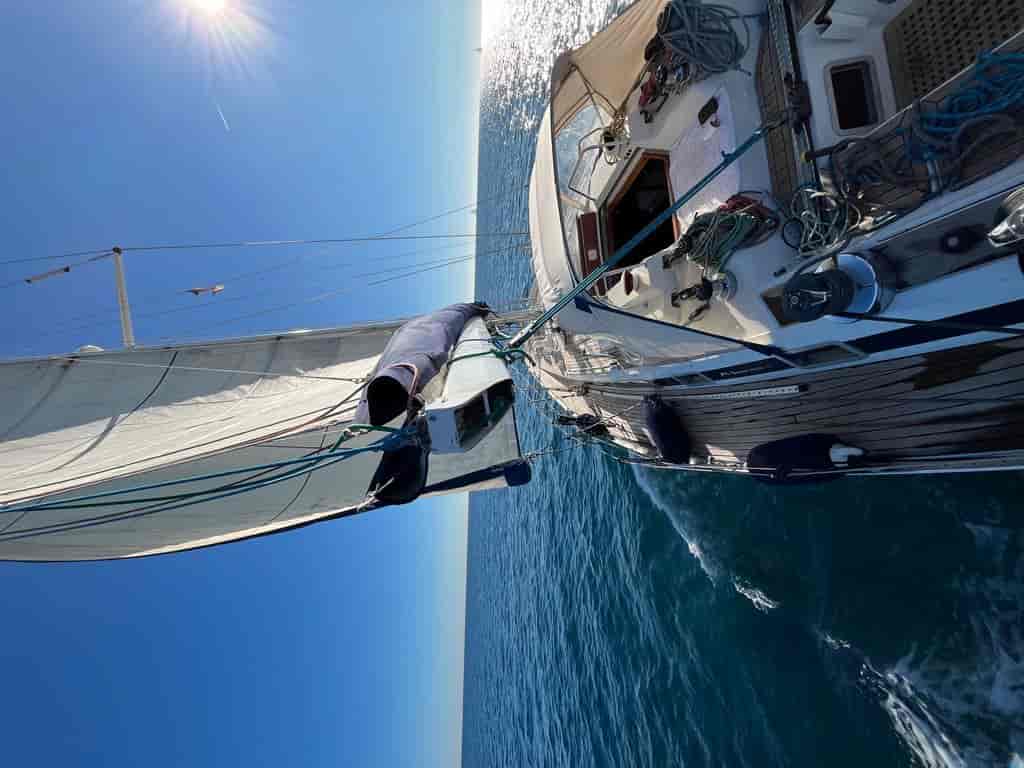 Boat picture 16