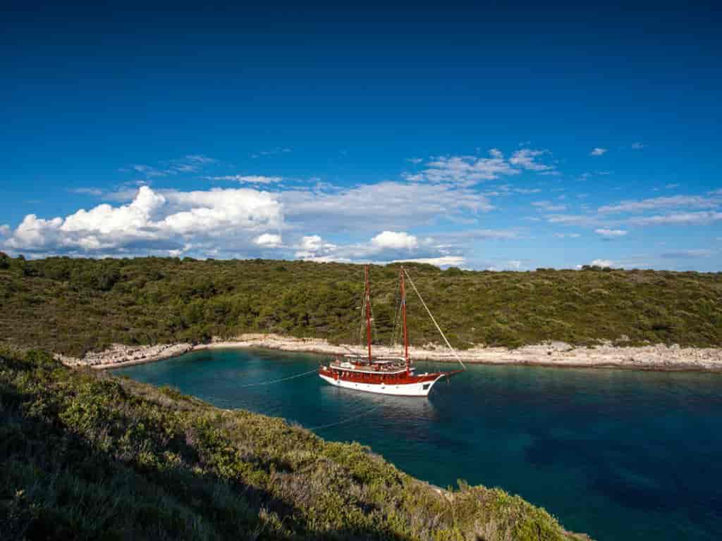 Boat picture 17