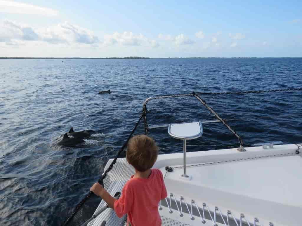 Boat picture 49