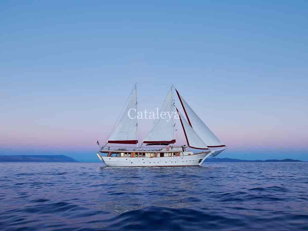 Boat picture 12