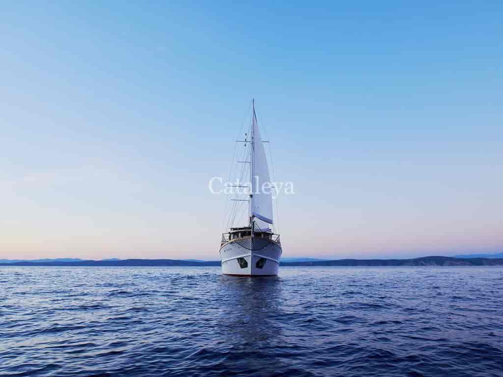 Boat picture 13