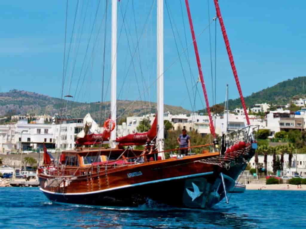 Boat picture 14