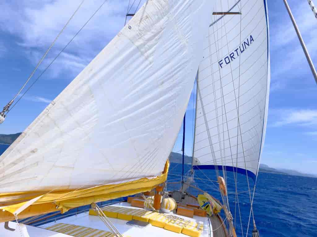 Boat picture 10