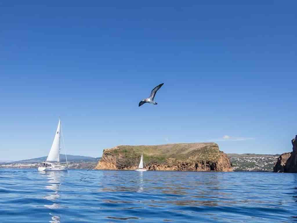 Boat picture 7