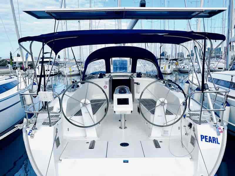 Photo of Pearl, image 1 of 5