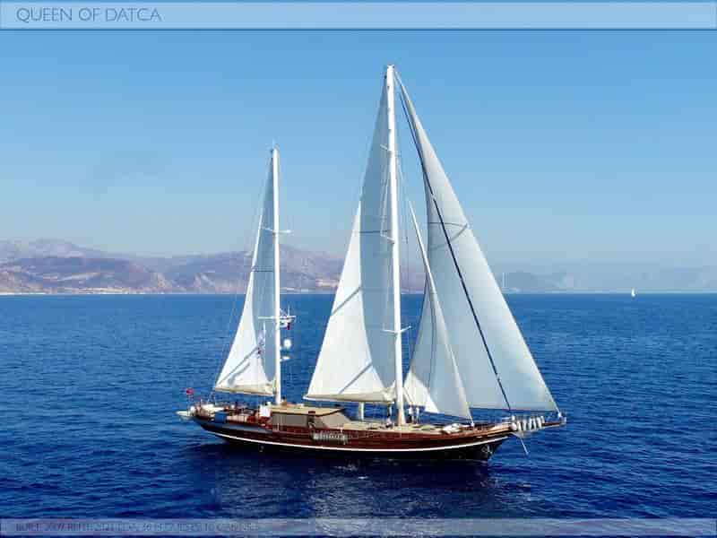 Photo of undefined, image 1 of 21