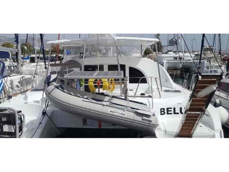 Photo of Beluga, image 1 of 3