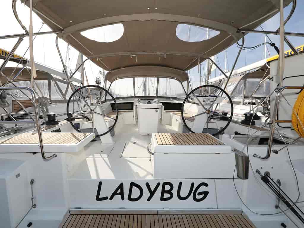 Photo 4 of Ladybug