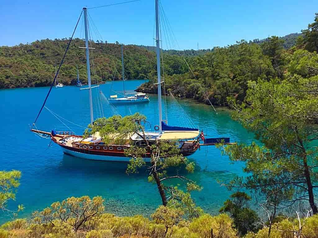 Photo 3 of Askim Deniz