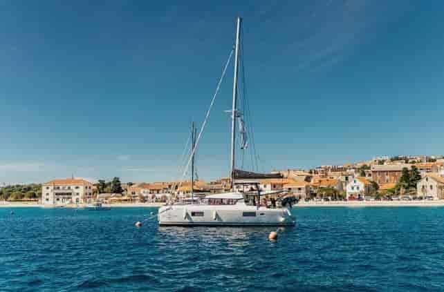 Photo of AMELIA, image 1 of 5