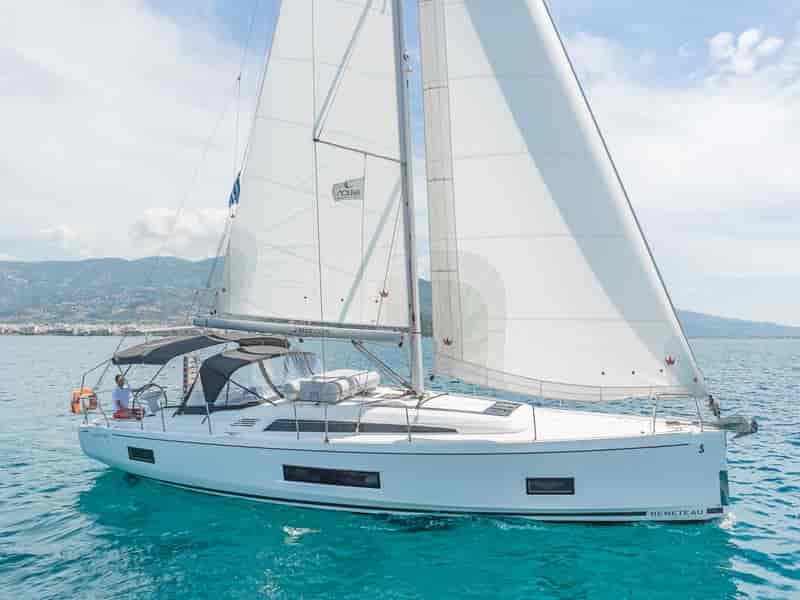 Photo of Paradisea, image 1 of 5