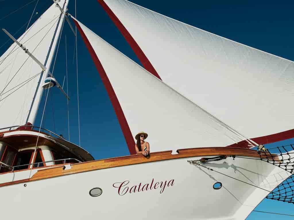 Boat picture 6