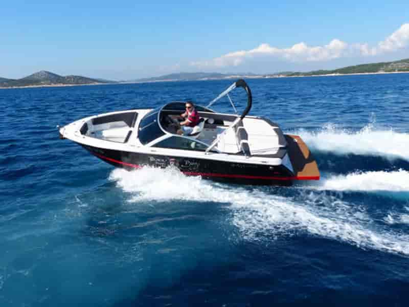 Photo of Black Pearl, image 1 of 5