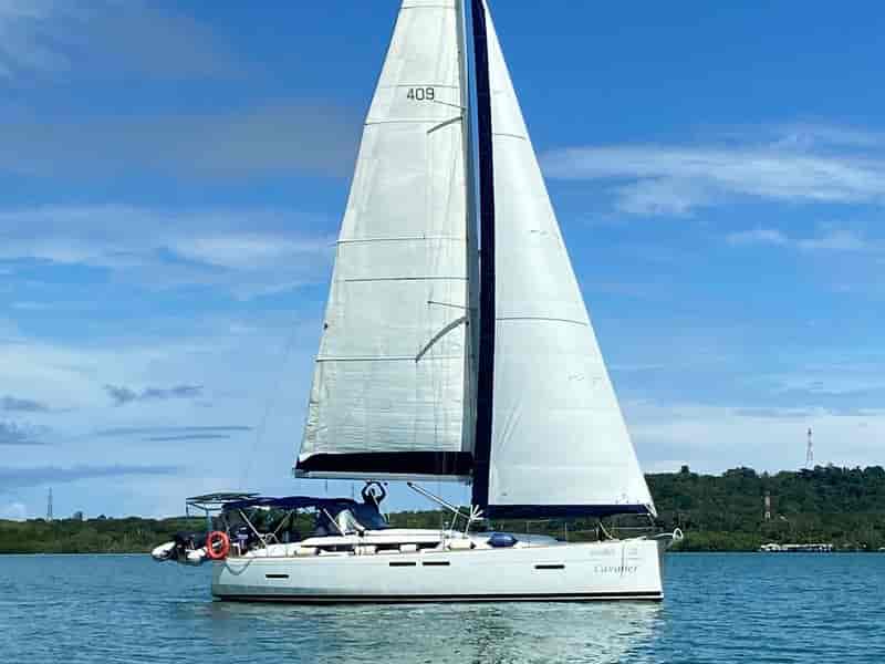Photo of Cavalier, image 1 of 5