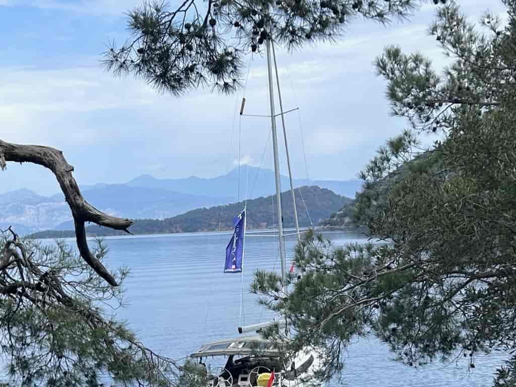 Boat picture 11