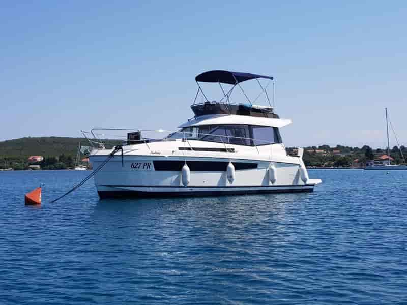 Photo of Sabina, image 1 of 5