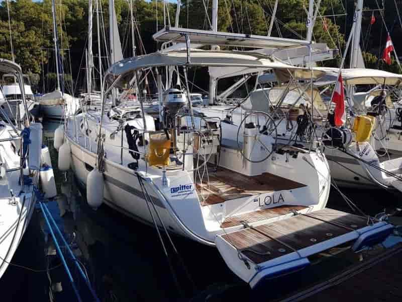 Photo of Lola, image 1 of 5