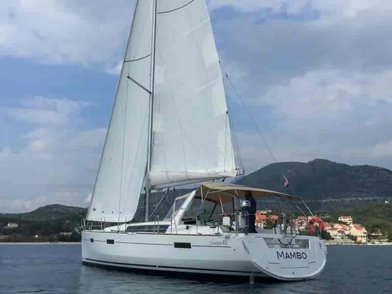 Photo of Mambo 1, image 1 of 5