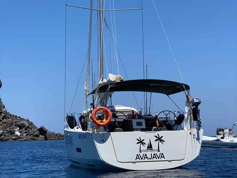Photo of Avajava, image 1 of 5