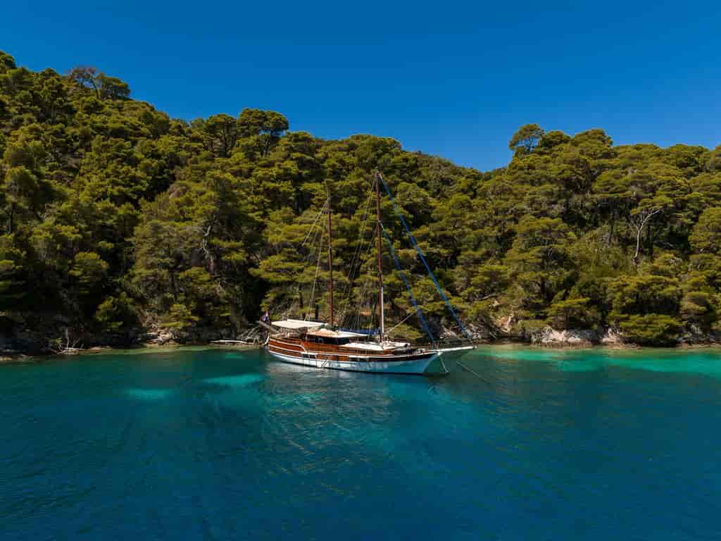 Boat picture 50