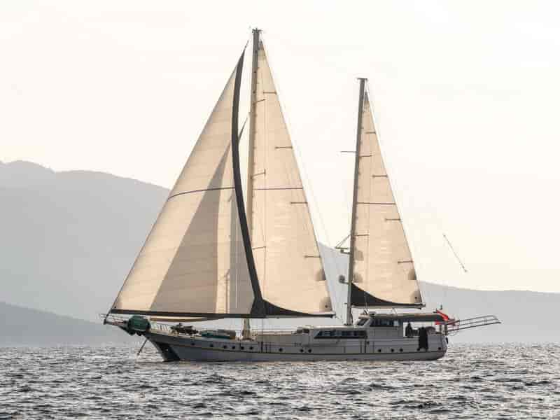 Photo of undefined, image 1 of 1