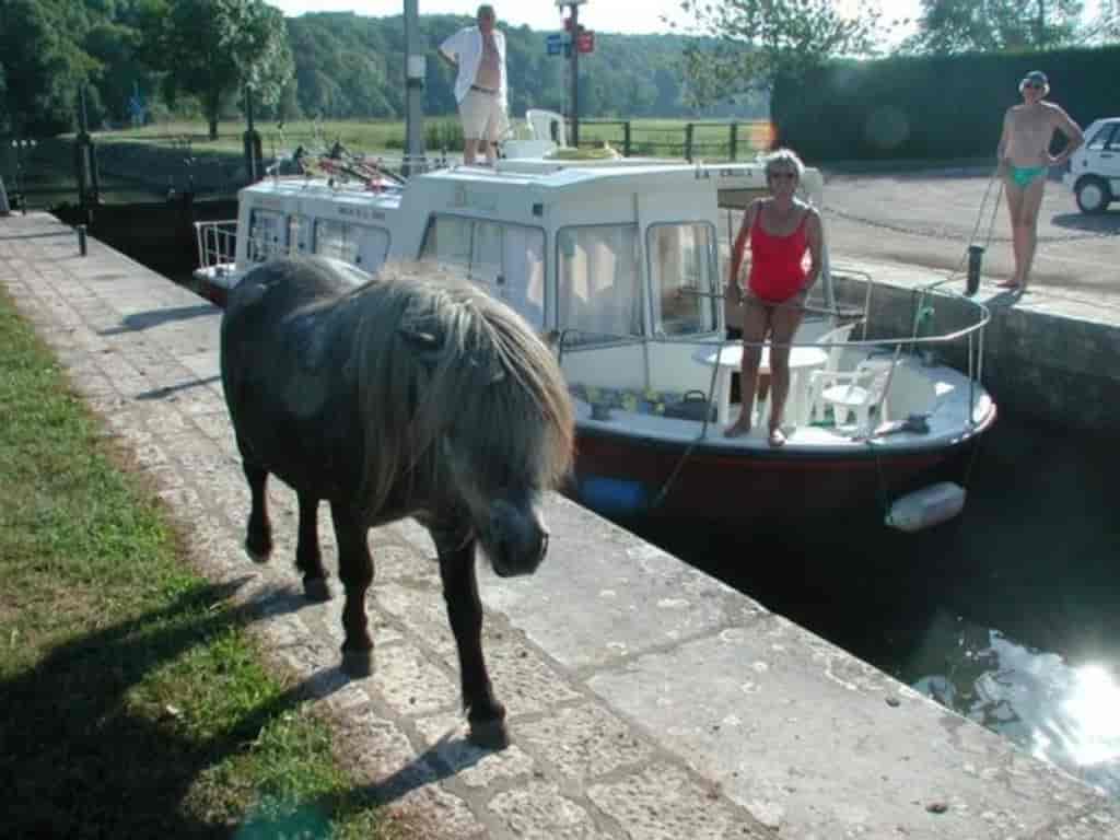 Boat picture 11