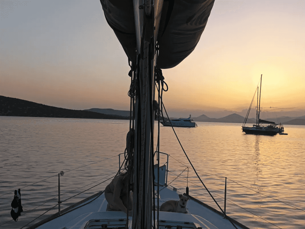 Boat picture 7